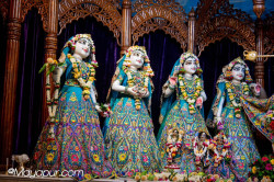 Daily Darshan