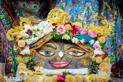 Daily Darshan