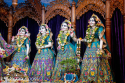 Daily Darshan
