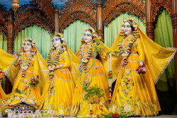 Daily Darshan