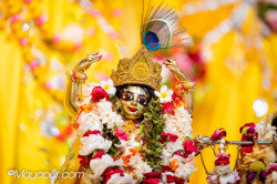 Daily Darshan