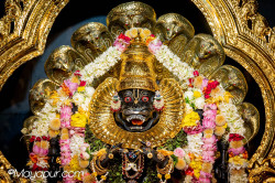 Daily Darshan