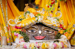 Daily Darshan