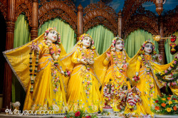 Daily Darshan