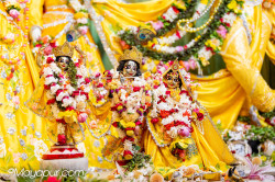Daily Darshan