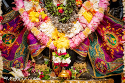 Daily Darshan