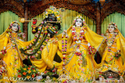 Daily Darshan