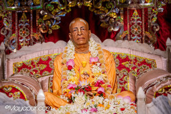 Daily Darshan