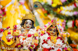 Daily Darshan