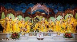 Daily Darshan
