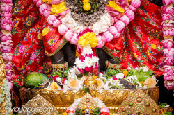Daily Darshan