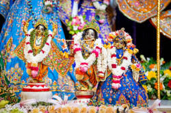 Daily Darshan