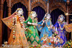 Daily Darshan