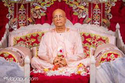 Daily Darshan