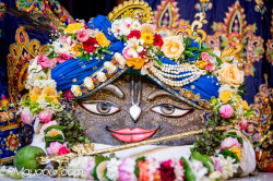 Daily Darshan