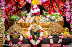 Daily Darshan