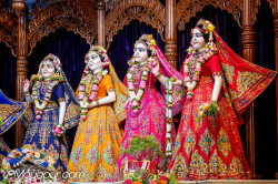 Daily Darshan