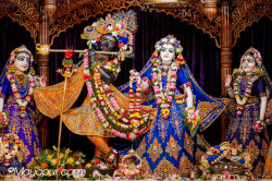 Daily Darshan