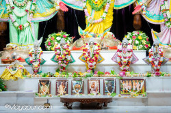 Daily Darshan