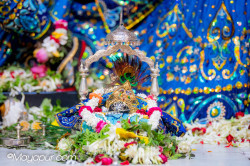 Daily Darshan