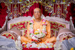 Daily Darshan