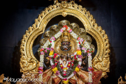 Daily Darshan