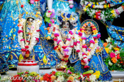 Daily Darshan