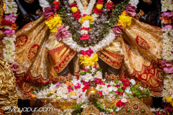 Daily Darshan