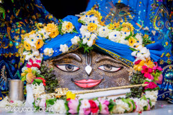Daily Darshan