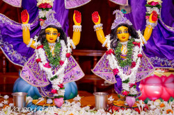 Daily Darshan