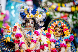 Daily Darshan