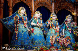 Daily Darshan