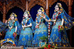 Daily Darshan