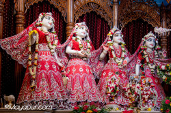Daily Darshan