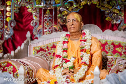 Daily Darshan