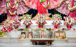 Daily Darshan