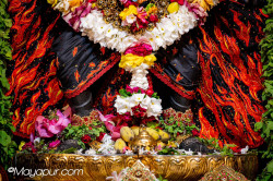 Daily Darshan
