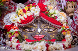 Daily Darshan