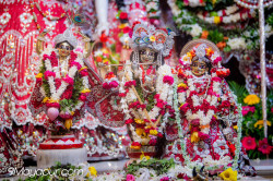 Daily Darshan