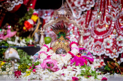 Daily Darshan