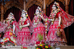 Daily Darshan