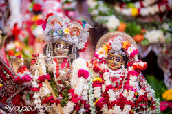 Daily Darshan