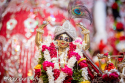 Daily Darshan
