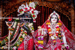 Daily Darshan