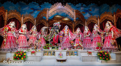 Daily Darshan