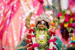 Daily Darshan