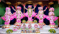 Daily Darshan
