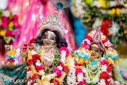 Daily Darshan