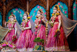 Daily Darshan