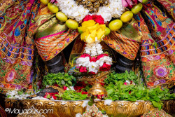 Daily Darshan
